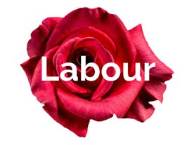 Labour, Get Off Your Moral High Horse